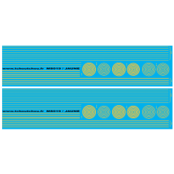 ms019 -jaune : bandes et cercles de 0.25 et 0.5mm